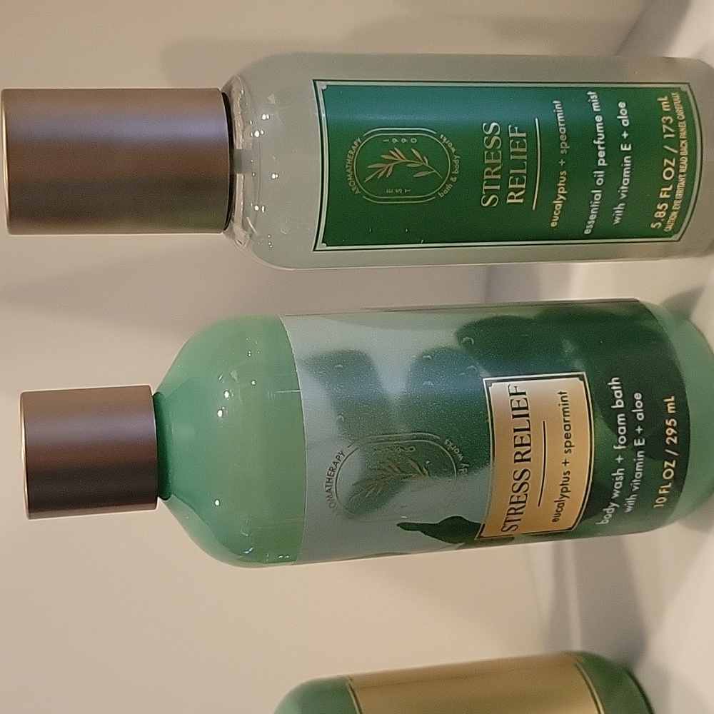 Bath & Body Works Eucalyptus Spearmint Stress Relief Collection - Picture 3 of 4